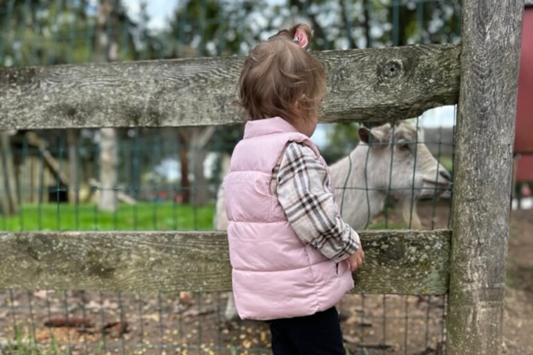 Kid-Friendly Farms Near Philadelphia