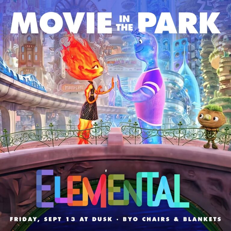 Palmer Park’s Movie in the Park