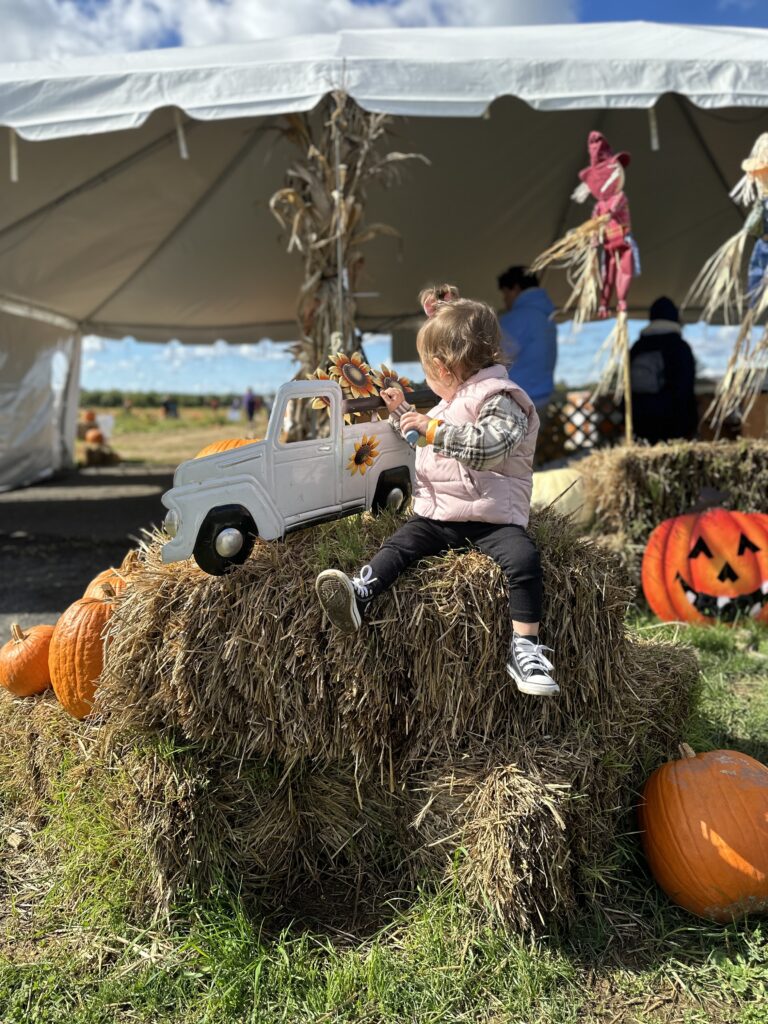 Fall Fest @ Shady Brook Farm