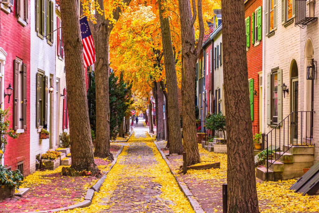 philadelphia street in the fall