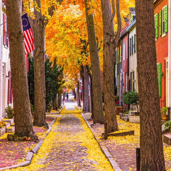 13 Spectacular Spots to Enjoy Fall Foliage Around Philadelphia 🍂🍁