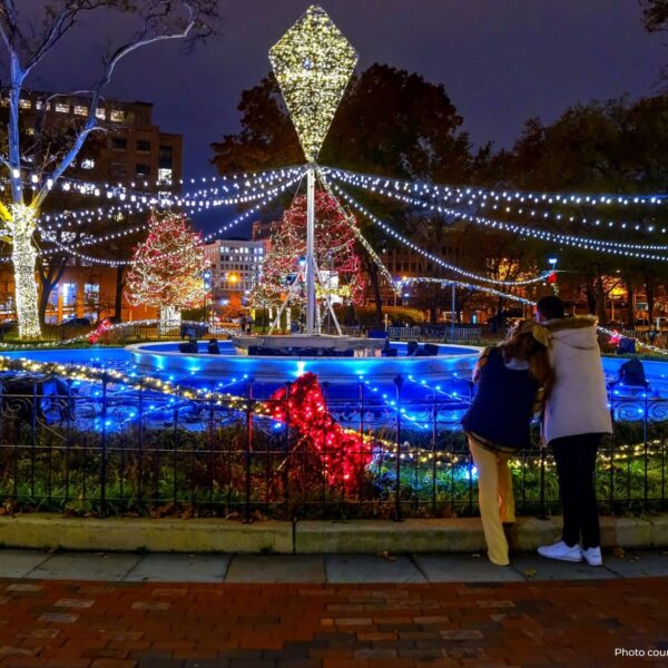 The Ultimate Guide to Free Holiday Light Displays Near Philadelphia