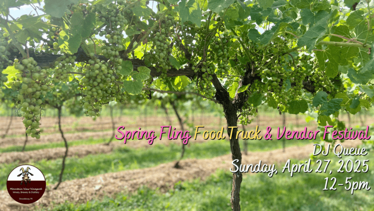 Spring Fling
