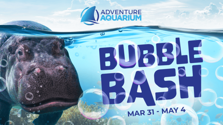 BUBBLE BASH RETURNS TO ADVENTURE AQUARIUM THIS SPRING BREAK  