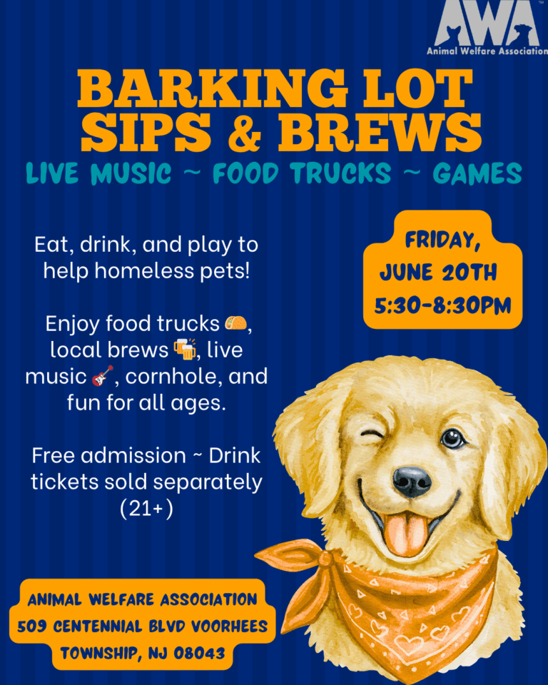 Barking Lots Sips & Brews