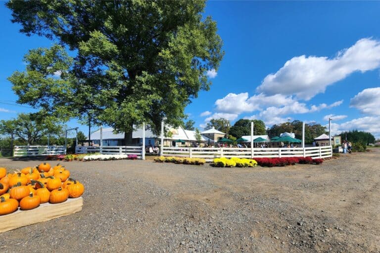 Family Fun Farms with Adult Bevs and Kid Entertainment (Within 1 Hour of Philly)