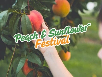 Peach & Sunflower Festival