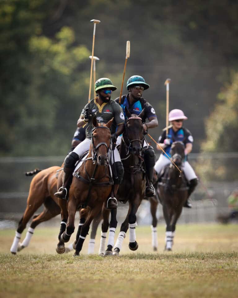 The Philadelphia Arena Polo Championship