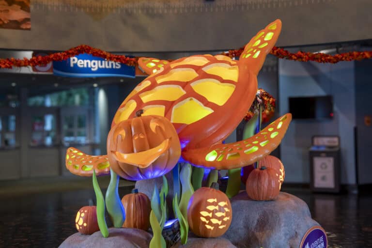 ?? Fintastic Pumpkin Glow at Adventure Aquarium ??