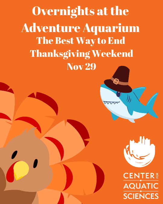 Overnight at the Adventure Aquarium