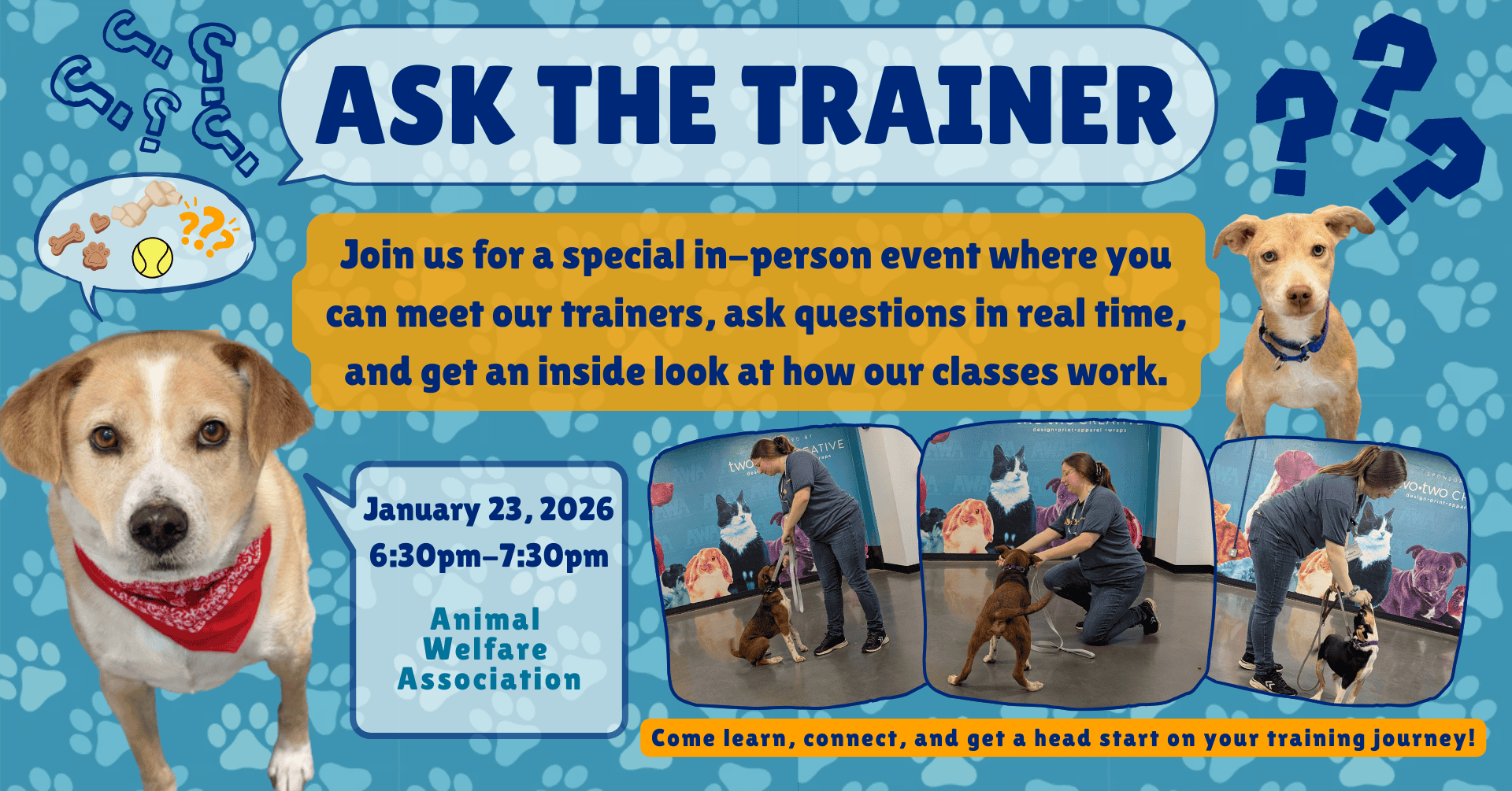 Ask the Trainer