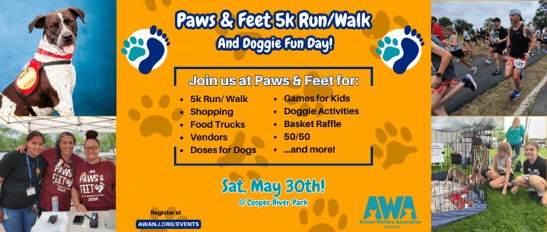 Paws & Feet 5k Run/ Walk & Doggie Fun Day!