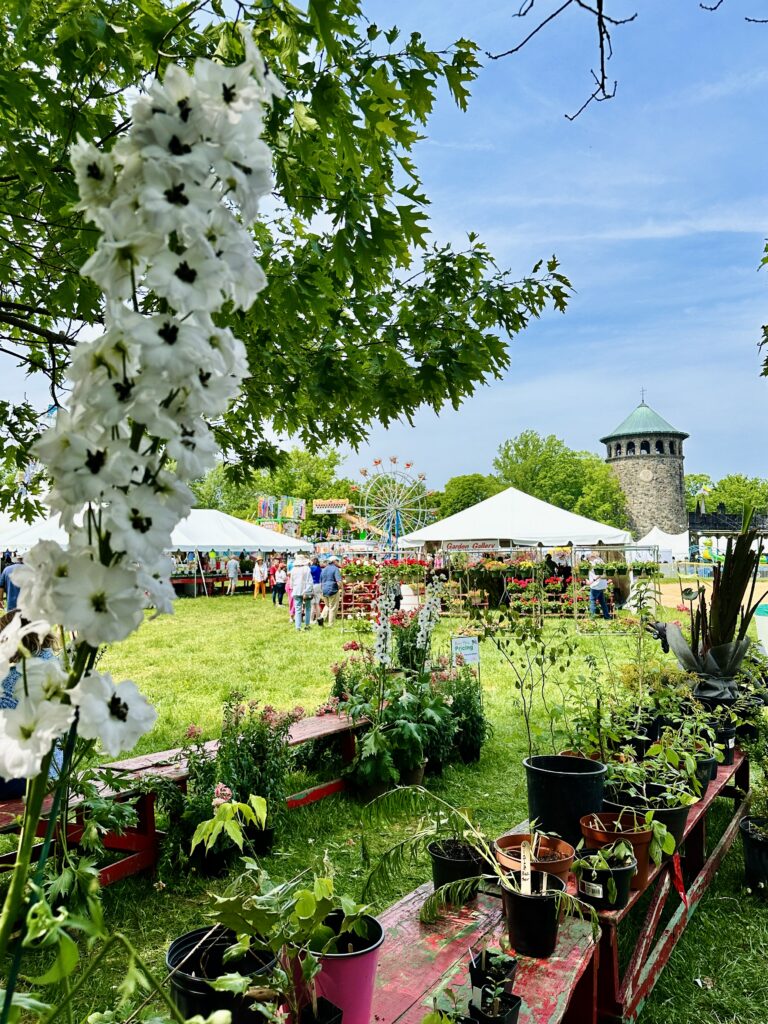 Wilmington Flower Market