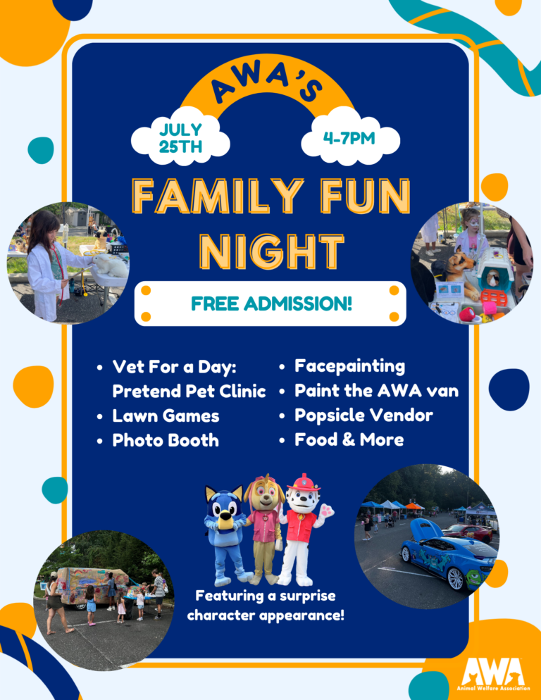 Family Fun Night