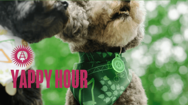 July Yappy Hour